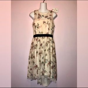 LC Lauren Conrad Snow White Dress